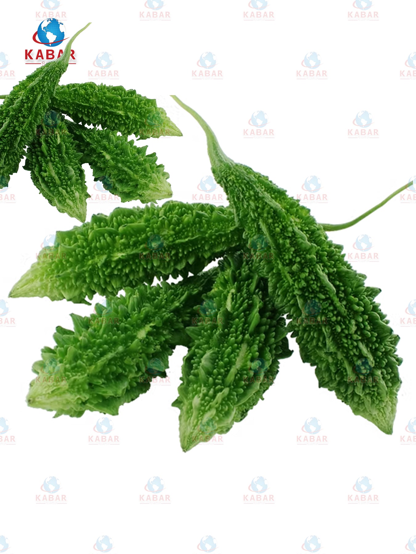 ကြက်ဟင်းခါးသီး