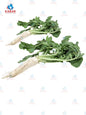 Daikon Radish with leaves/ daikon အရွက်ပါမုန်လာဥ (30- 40 lb)