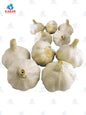 Garlic ကြက်သွန်ဖြူ (30 lb)