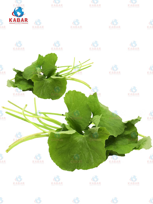 မြင်းခွာရွက်