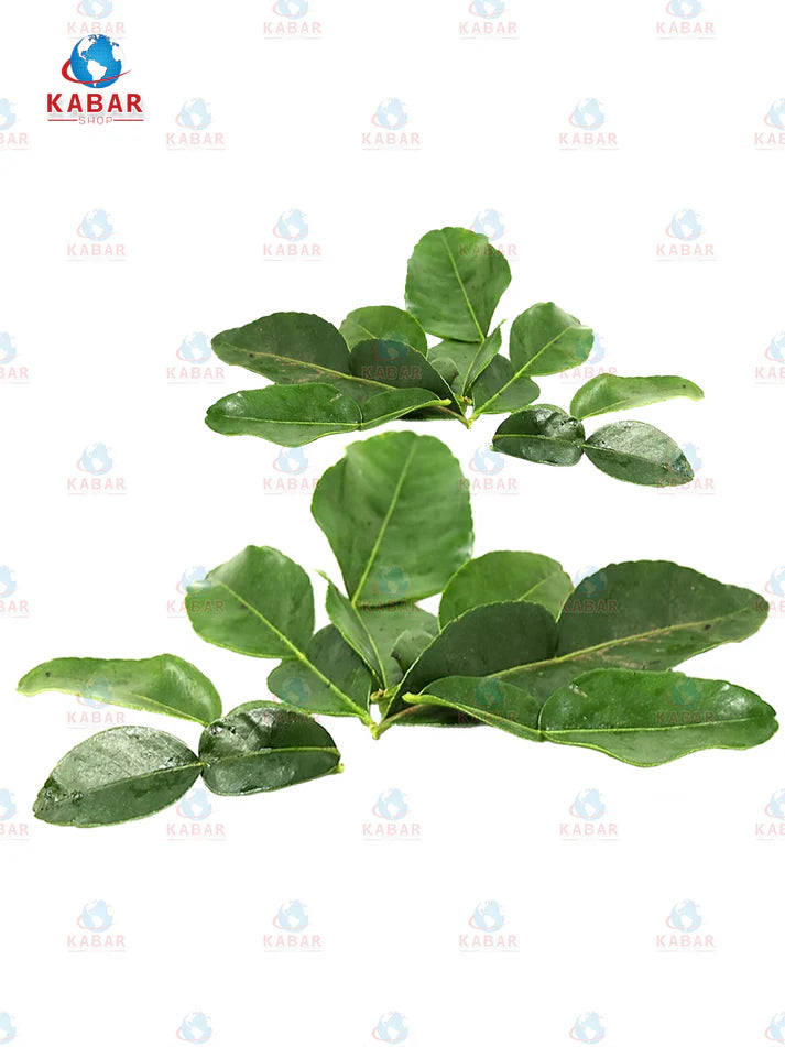 Lime Leaves သံပုရာရွက် (2 lb/ 10-15 lb)