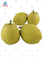 Fragrant pear သစ်တော်သီး 15 lb