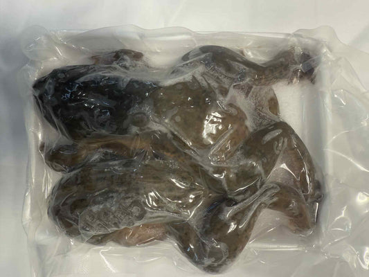 Two frogs- ဖားနှစ်ကောင်တွဲ